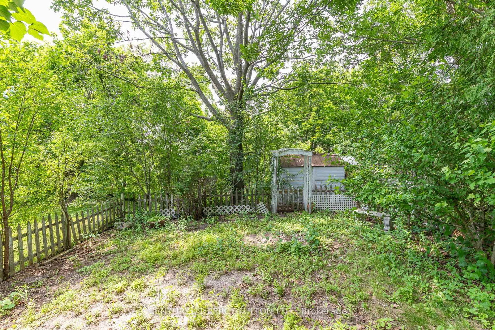Pinecrest, Oshawa photo 41