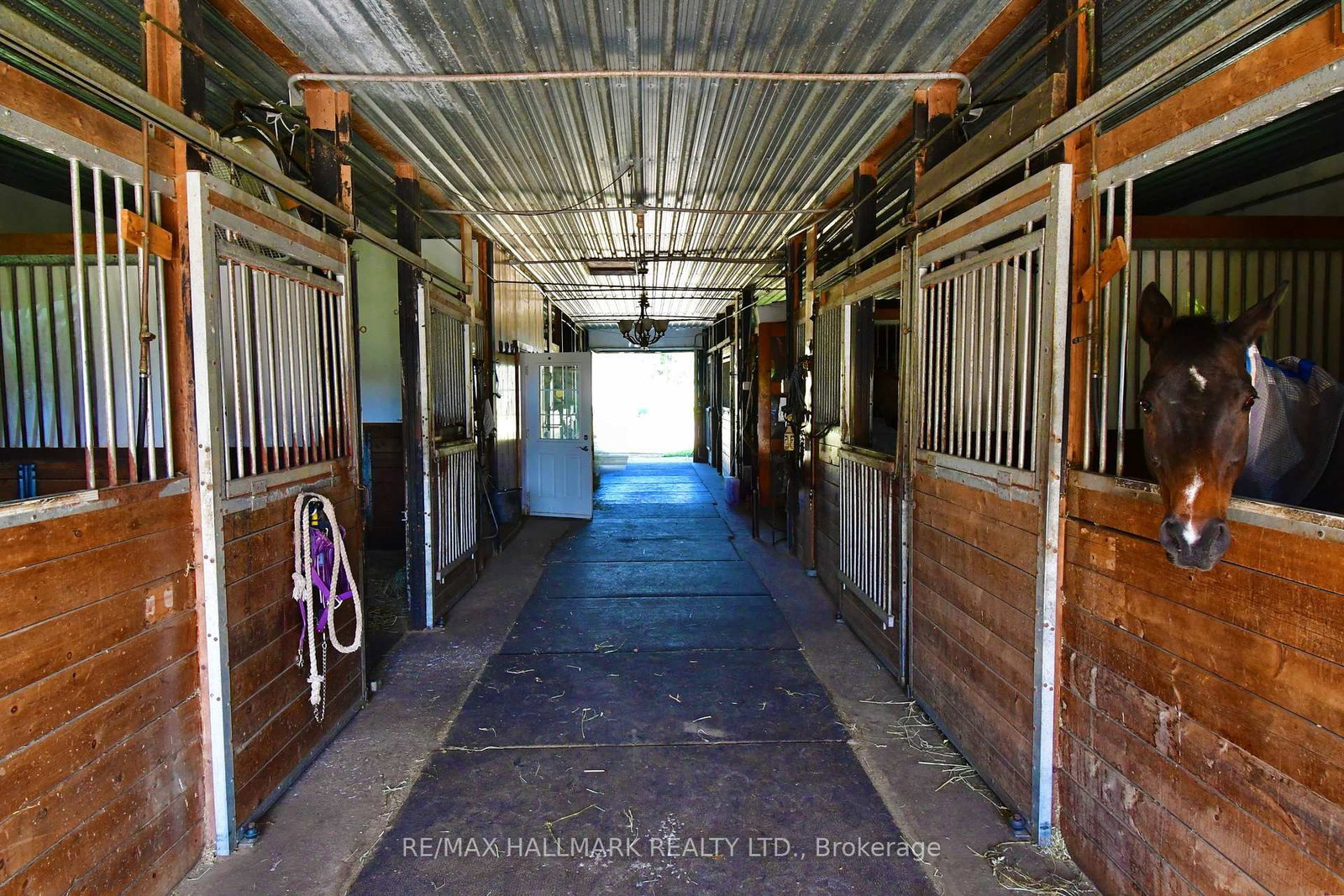 18555 Highway 12 • Scugog, ON photo 24