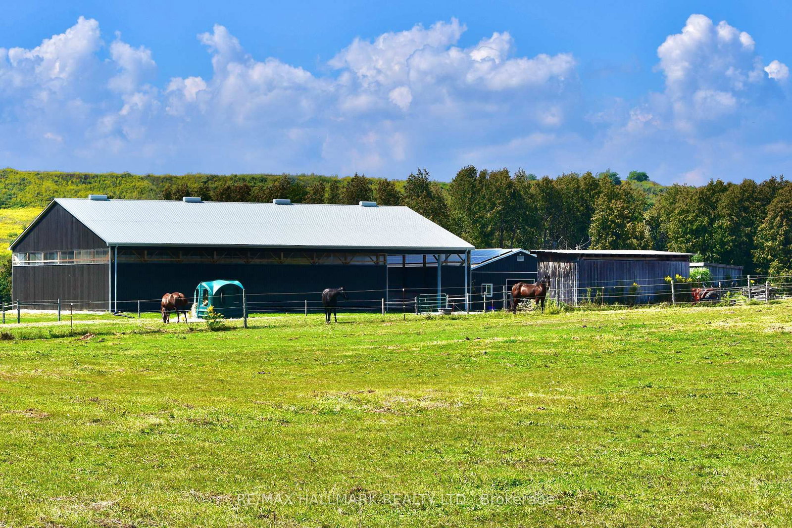 18555 Highway 12 • Scugog, ON photo 30