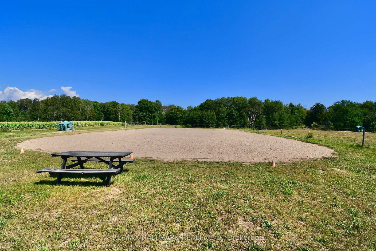 18555 Highway 12 • Scugog, ON photo 31