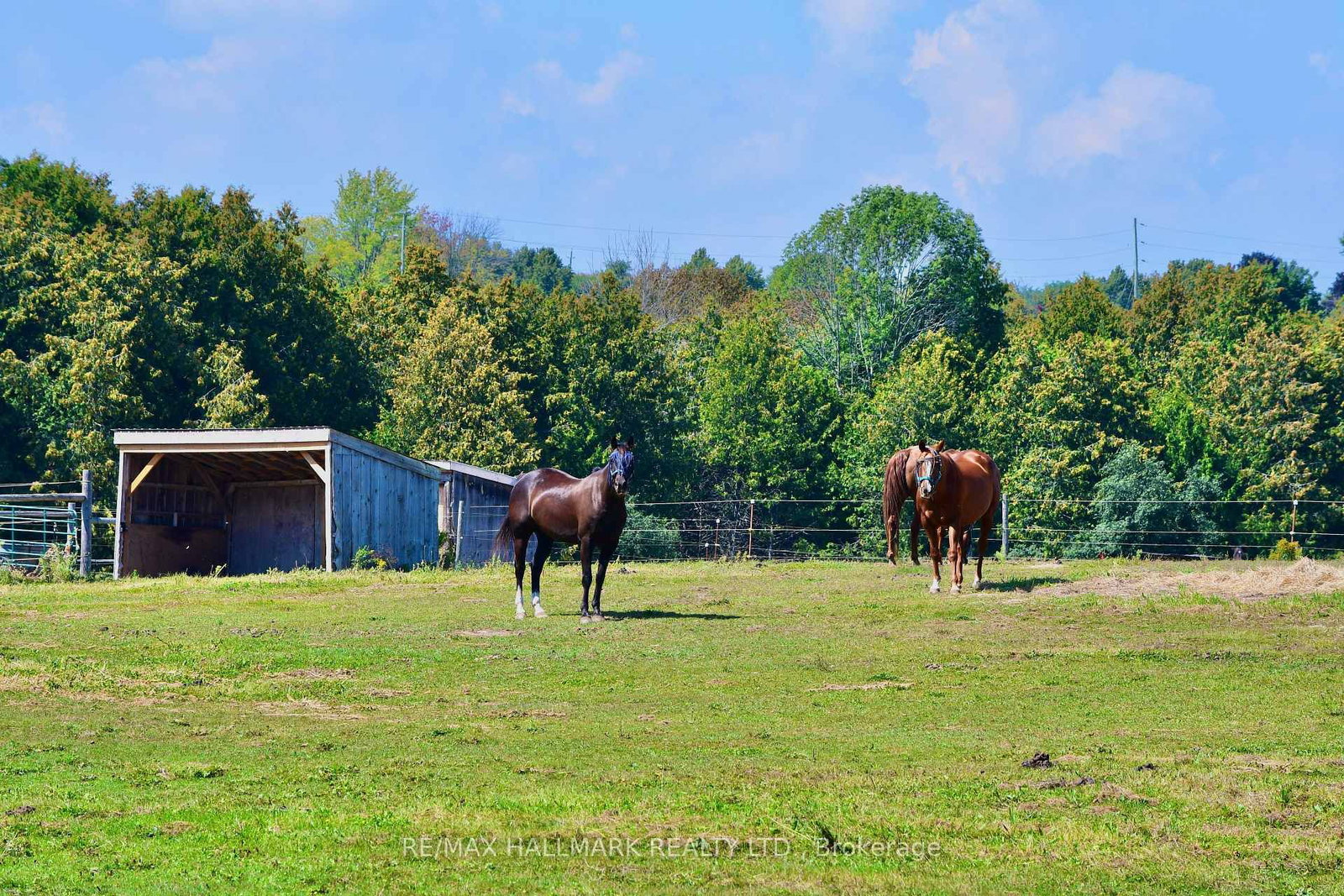 18555 Highway 12 • Scugog, ON photo 32
