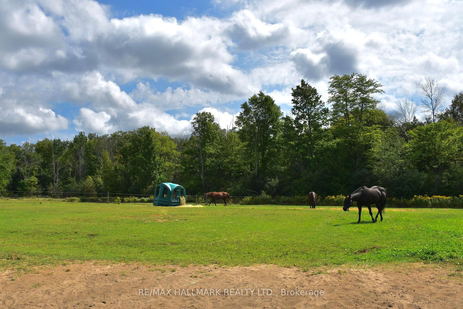18555 Highway 12 • Scugog, ON photo 39
