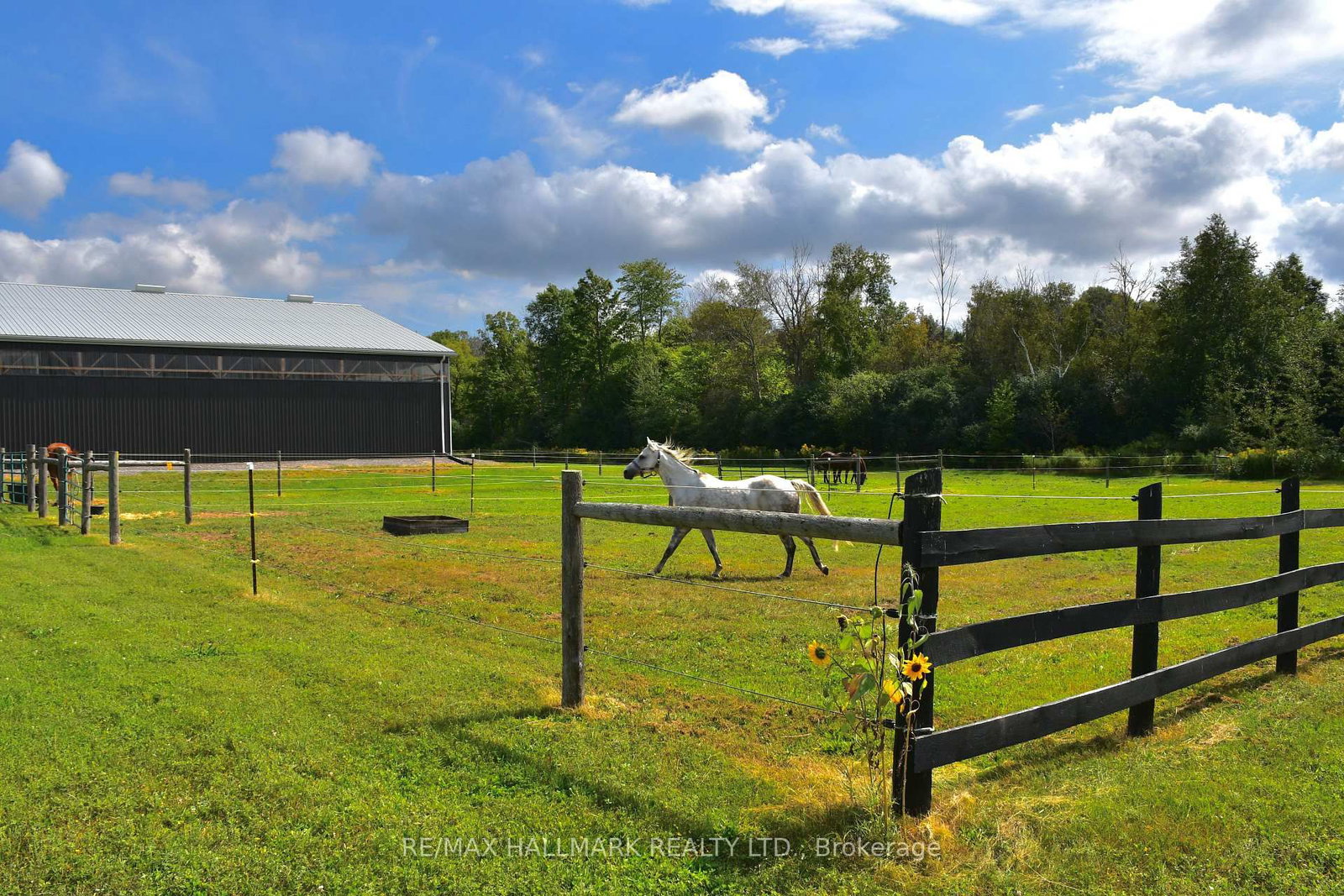 18555 Highway 12 • Scugog, ON photo 40