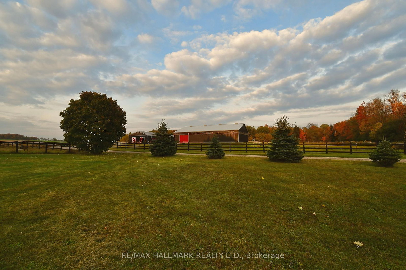 18555 Highway 12 • Scugog, ON photo 41