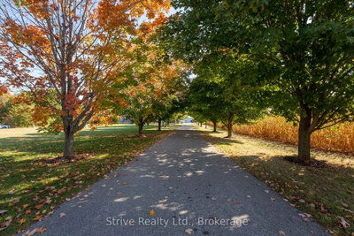 5659 Gilmore Road • Clarington, ON photo 5