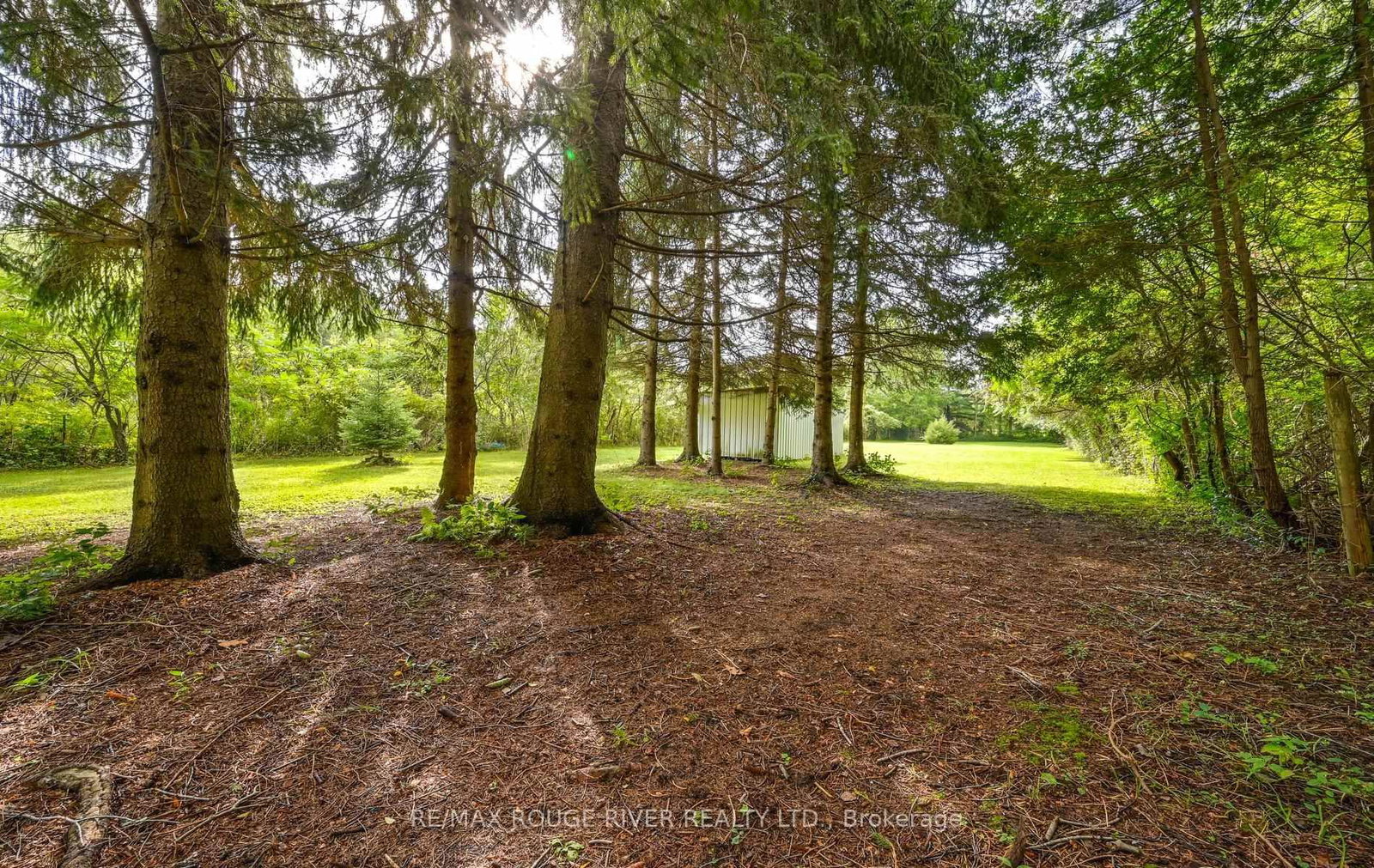 1901 Nash Road • Clarington, ON photo 31