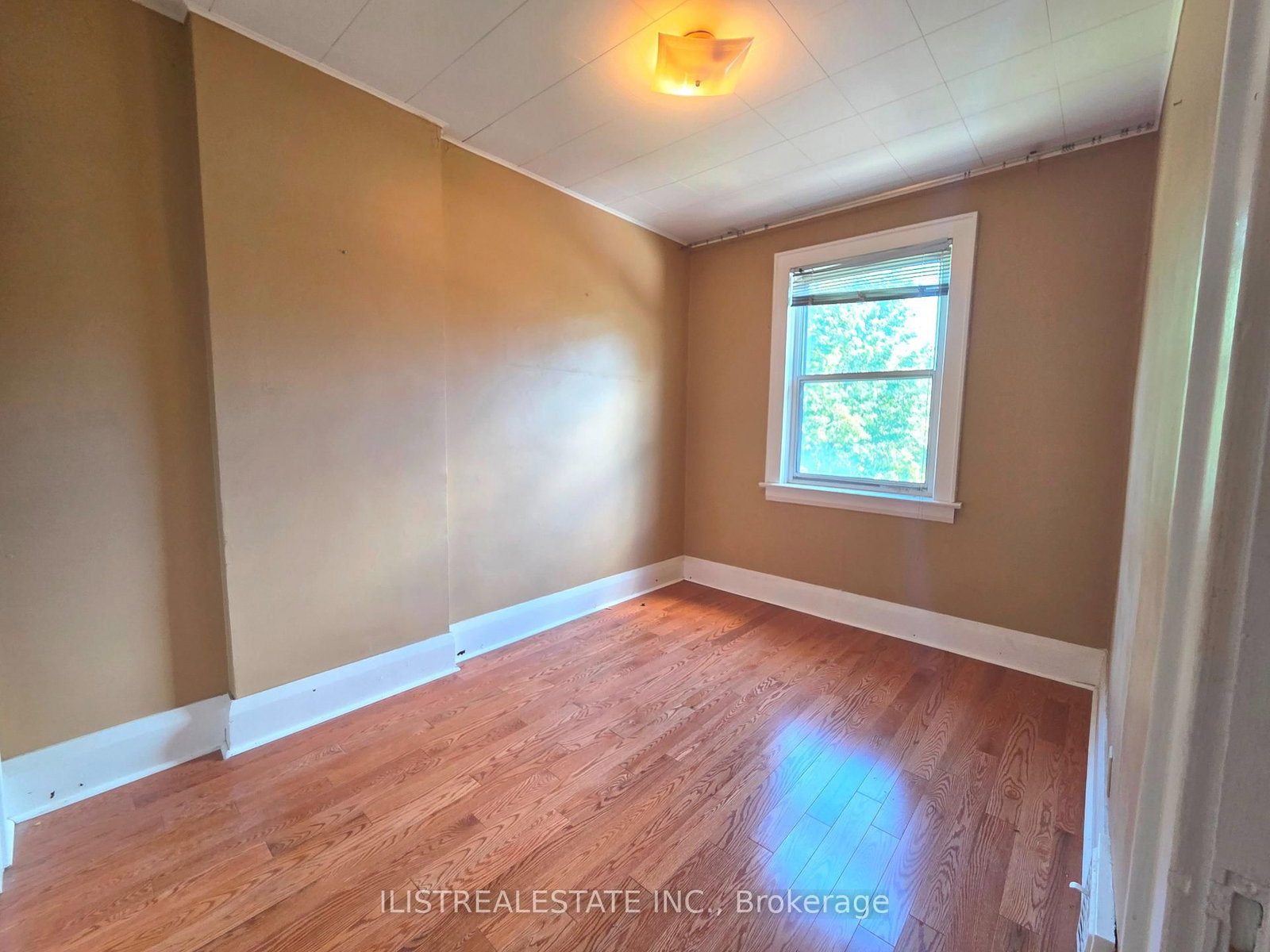 213 Blantyre Avenue • Toronto, ON photo 8