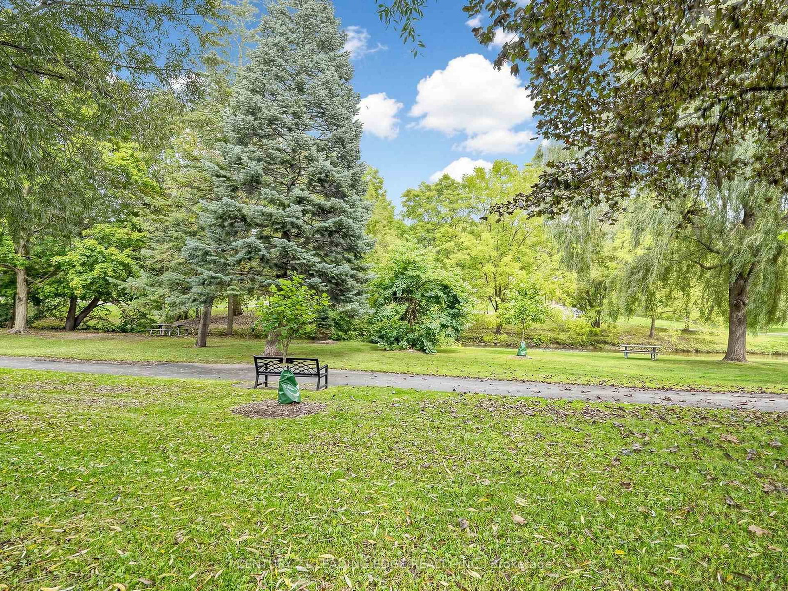 177 Park Road N • Oshawa, ON photo 45