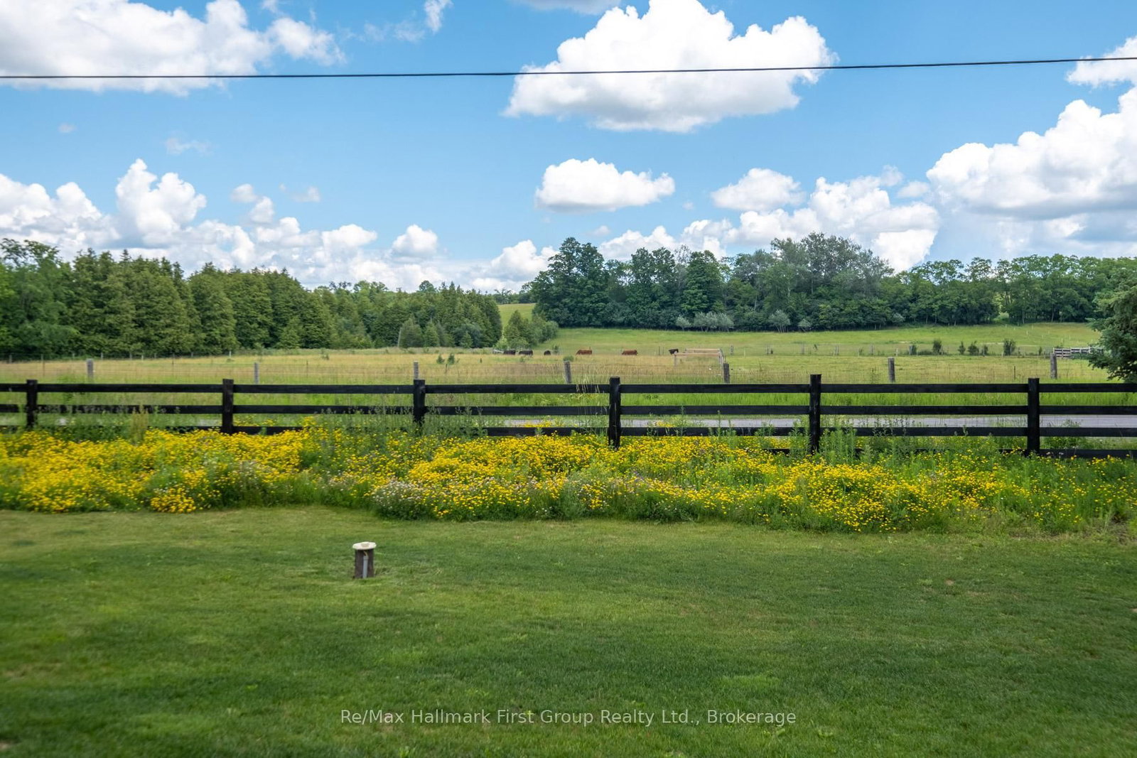 47 Wiesenweg • Scugog, ON photo 38
