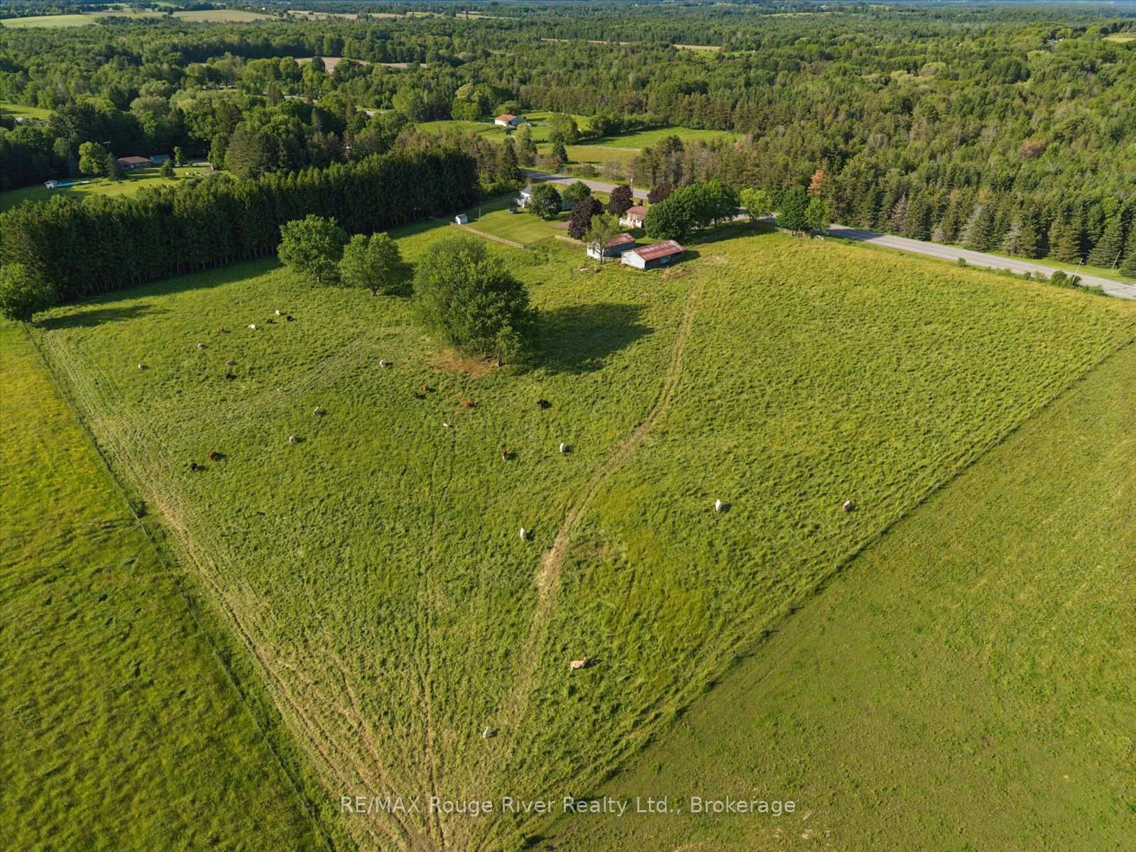 3714 Newtonville Road • Clarington, ON photo 37
