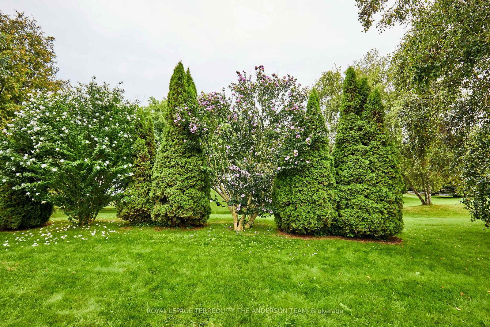 81 Wilmot Trail • Clarington, ON photo 11