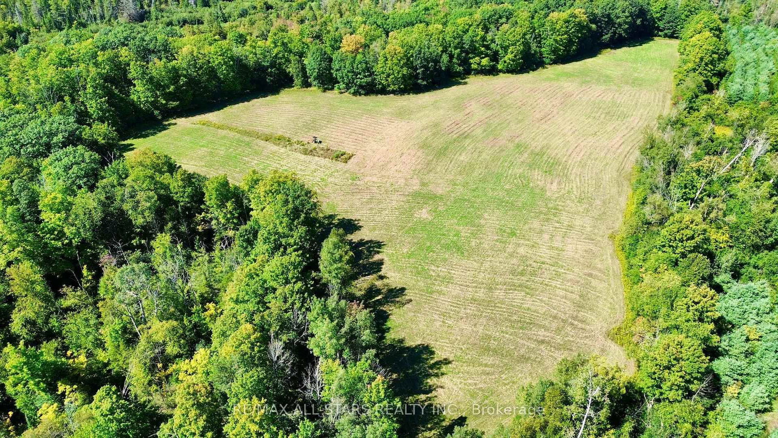 4331 Malcolm Road • Scugog, ON photo 37