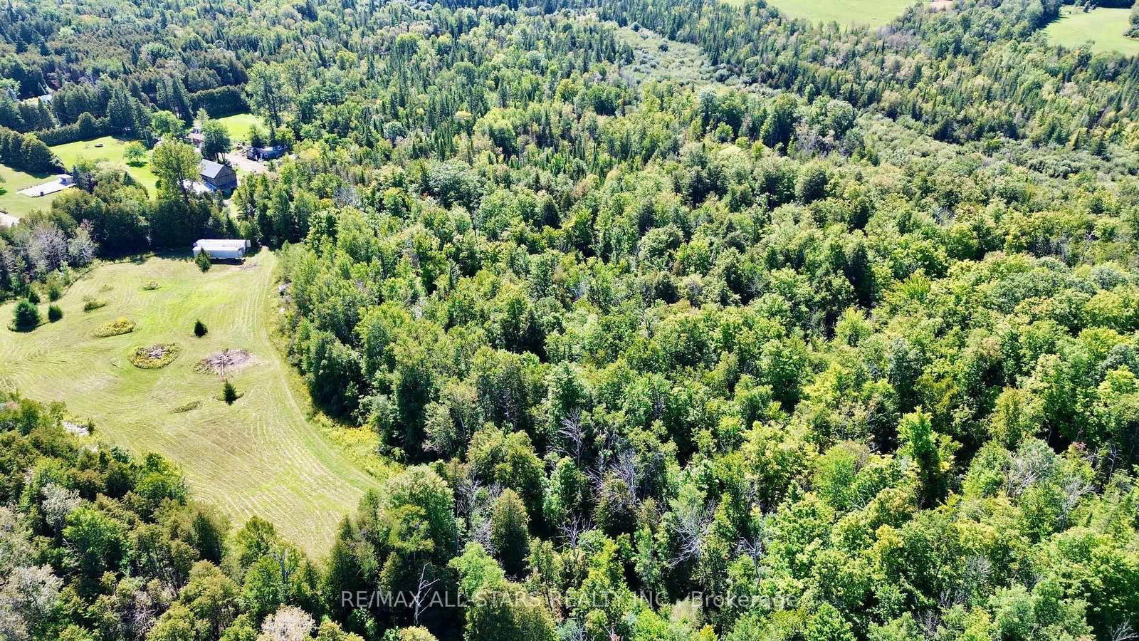 4331 Malcolm Road • Scugog, ON photo 38