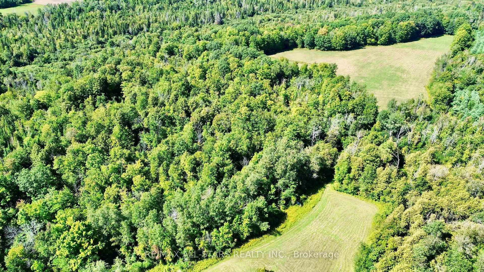 4331 Malcolm Road • Scugog, ON photo 40