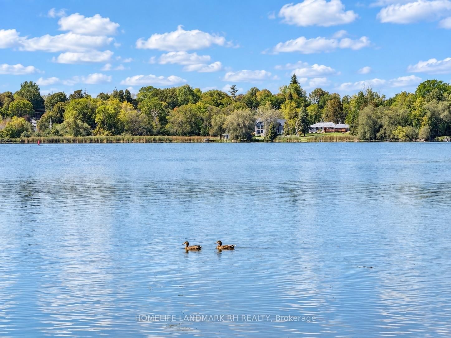260 Portview Road • Scugog, ON photo 24