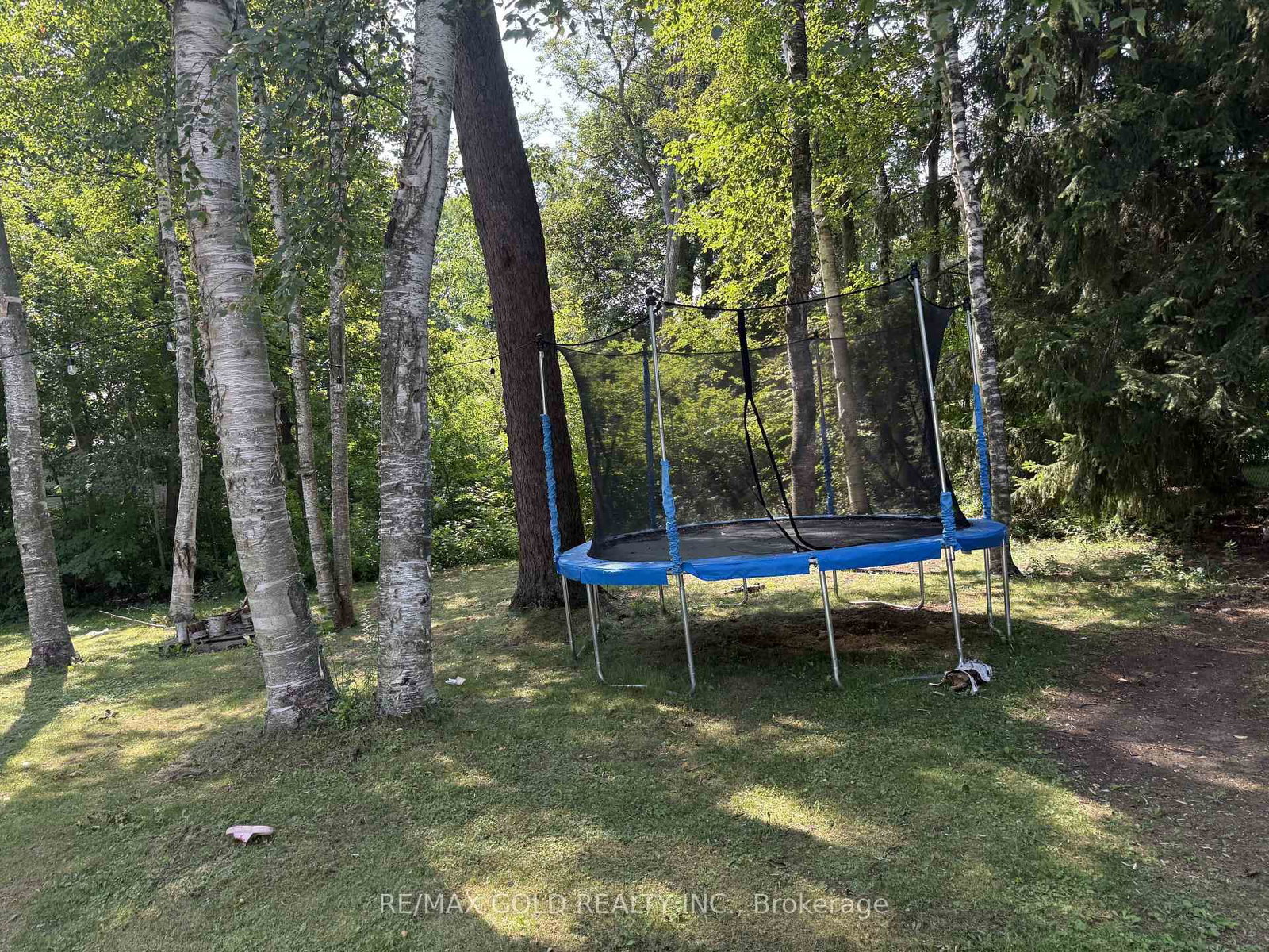 366 Beechgrove Drive • Toronto, ON photo 7