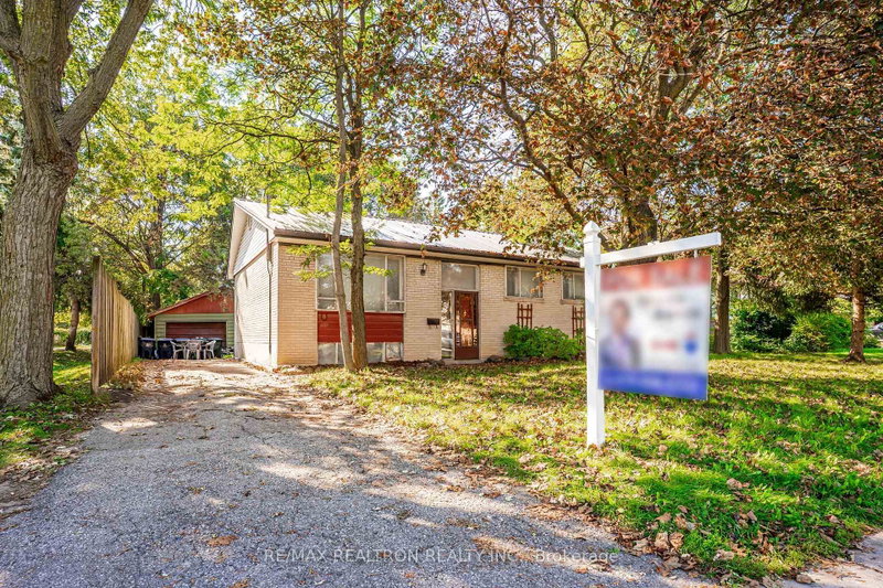 3859 Finch Ave E photo 4
