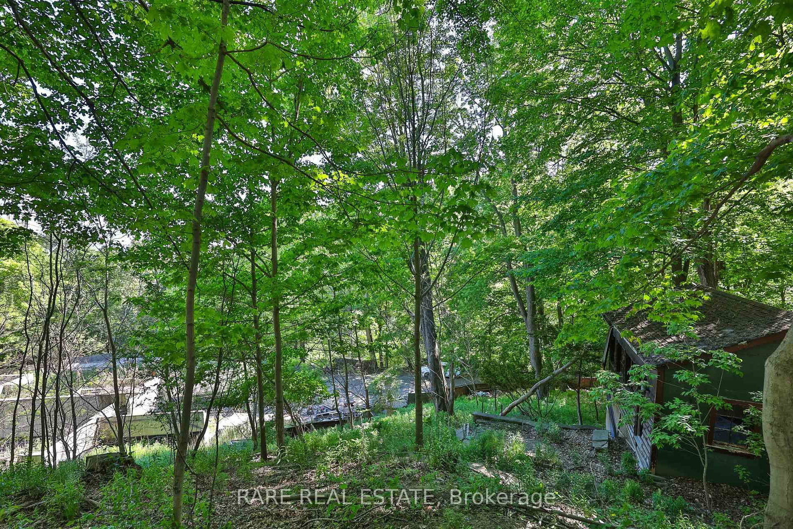 81 Meadowcliffe Drive • Toronto, ON photo 20