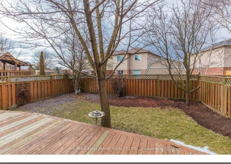 Basement - 58 Bonnycastle Drive