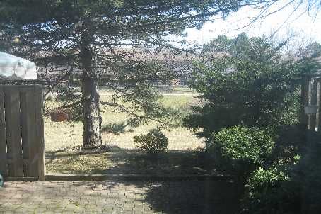 79 - 25 Brimwood Blvd, Toronto, Xxxxxx | Image 3