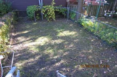 623 Pape Ave, Toronto - Blake-Jones image-0-2