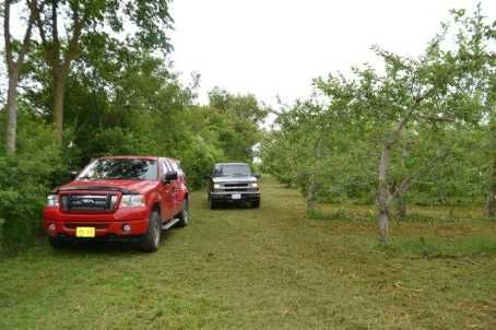 3850 Kinsale Rd, Pickering, L1Y1E2 | Image 2