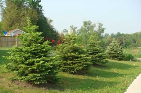 2 Don Morris Crt, Clarington, L1C5P7 | Image 3