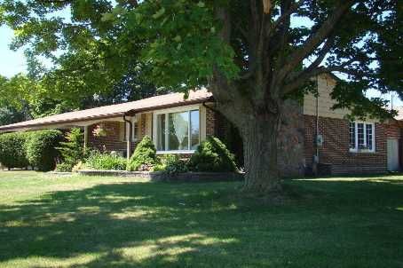 899 Florell Dr, Oshawa, L1H6W3 | Image 2