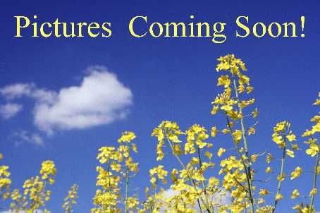 15 Brownridge Pl, Whitby, L1P1Ws | Image 2