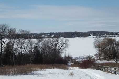 17300 Island Rd, Scugog, Xxxxxx | Image 2