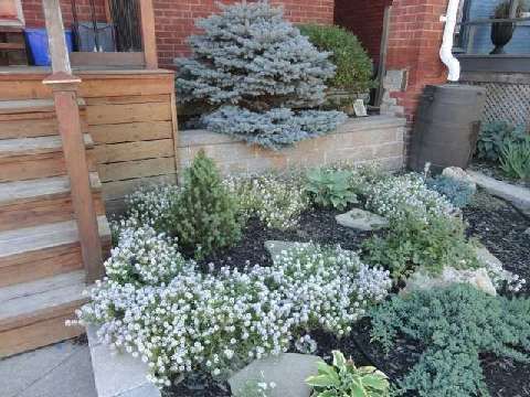 Main - 37 Connaught Ave, Toronto, M4L2V8 | Image 2