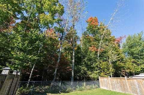 568 George Reynolds Dr, Clarington, L1E0A8 | Image 2