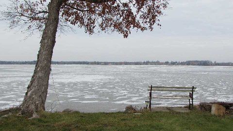 148 Coleman Cres, Scugog, L0B1K0 | Image 2