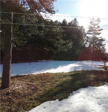 25 Wilbur Ave, Scugog, L9L1J4 | Image 2