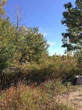 0 Barr Rd, Ajax, L1S 3X9 | Image 2