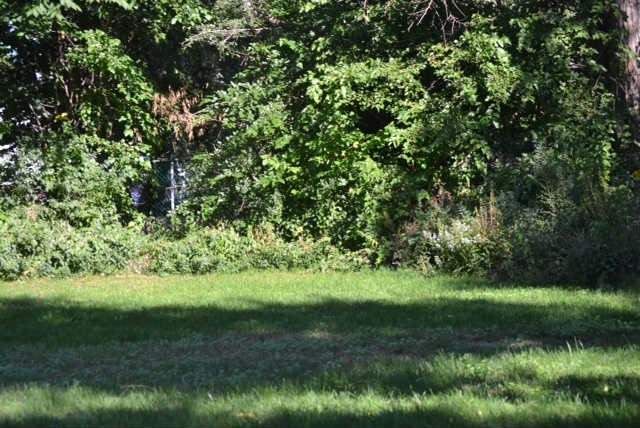 4130 Lawrence Ave E, Toronto, M1E2R8 | Image 3