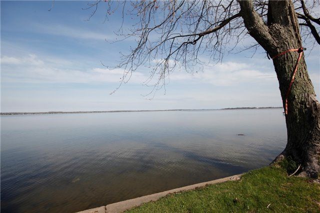 46 Williams Point Rd, Scugog, L0B1E0 | Image 2