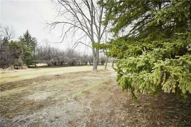 945 Brawley Rd W, Whitby, L0B1C0 | Image 2