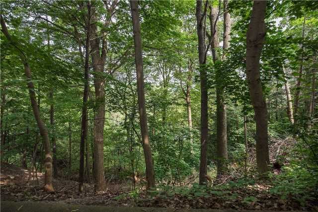 541 Rouge Hills Dr, Toronto, M1C2Z9 | Image 3