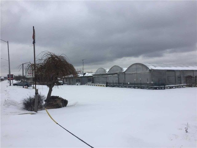 2465 Brock Rd, Pickering, L1V 2P8 | Image 2