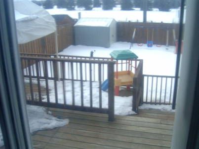 64 Sable Cres, Whitby, L1R1Y6 | Image 2