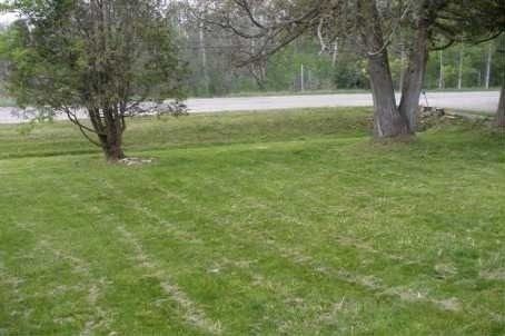 5321 Old Brock Rd, Pickering, L1Y 1B2 | Image 2