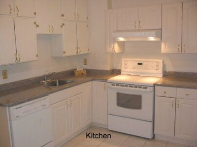 80 Rosevear Ave, Toronto - Crescent Town image-0-4