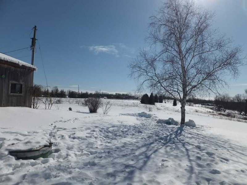 17300 Island Rd, Scugog, L9L 1B4 | Image 2