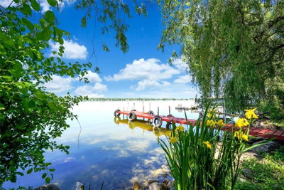 Detached House sold at 16 Birch Island Road, Scugog, Ontario, L0B1K0 - Rural Scugog - MLS: E4755962