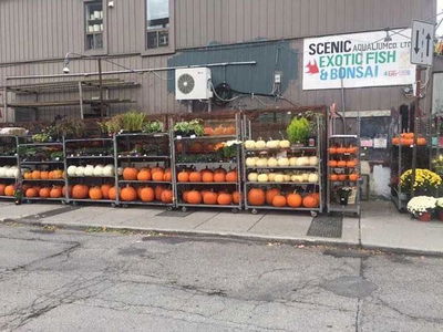 673 Gerrard St, Toronto - South Riverdale image-0-1