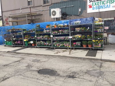 673 Gerrard St, Toronto - South Riverdale image-0-3