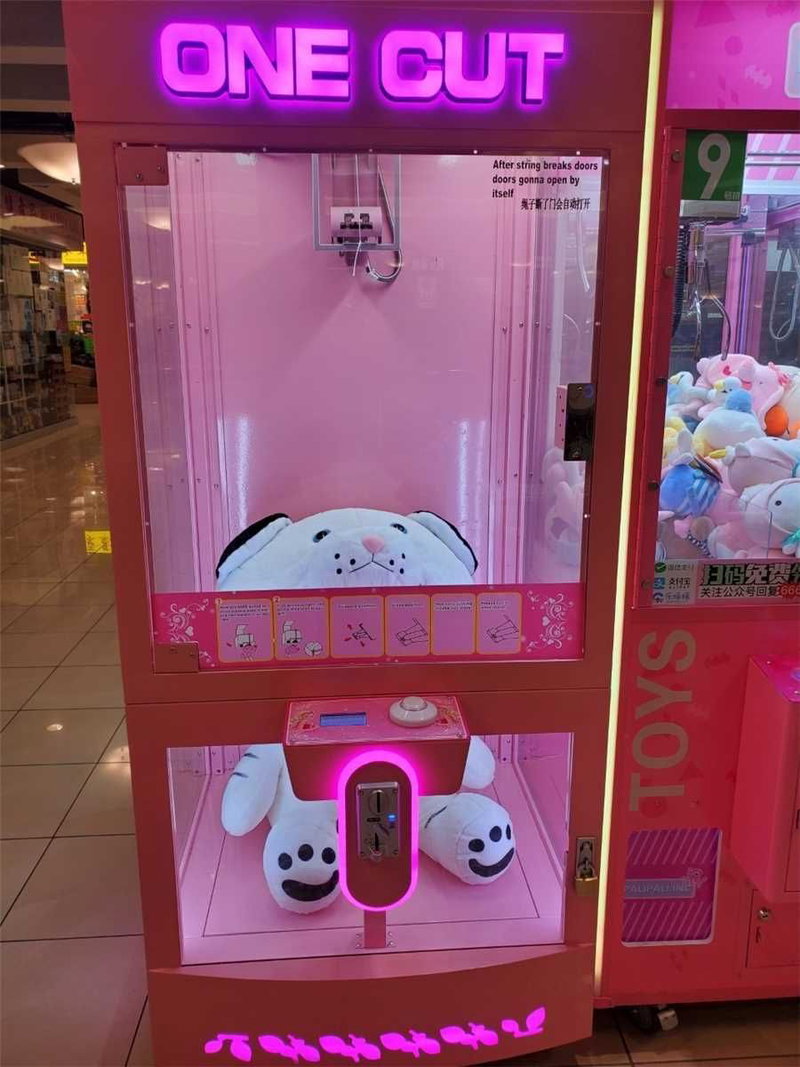 2D13 - 4675 Steeles Ave E, Toronto, M1V 4S5 | Image 3