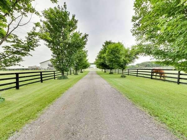 930 Howden Rd E, Oshawa, L1H0L4 | Image 2