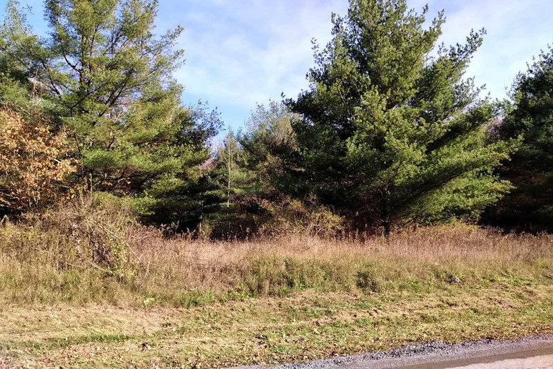 0 Church St N, Ajax, 000000 | Image 2